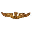 Indonesian Army Basic Parachutist Jump Wings Badge - Army & Outdoors - Flags, Badges & Insignia
