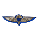 Israel Defense Forces (IDF) 1960s Parachutist Badge