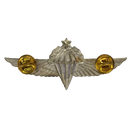 Israel Defense Forces (IDF) Advanced Parachutist Badge - Israeli Army Surplus - Flags, Badges & Insignia
