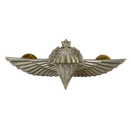 Israel Defense Forces (IDF) Advanced Parachutist Badge - Israeli Army Surplus - Flags, Badges & Insignia