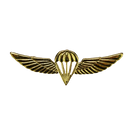 Israel Defense Forces (IDF) Gold Parachutist Badge