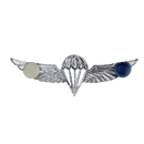 Israel Defense Forces (IDF) Parachutist Badge, Item 2