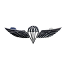 Israel Defense Forces (IDF) Parachutist Badge, Item 2