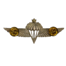 Israel Defense Forces (IDF) Senior Parachutist Badge, Item 2