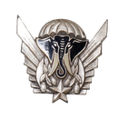 Ivory Coast Army Parachutist Qualification Badge