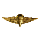 Jordanian Basic Jump Wings Badge