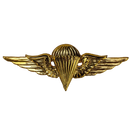 Jordanian Basic Jump Wings Badge