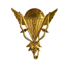 Malian Army Parachutist Badge