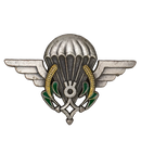 Niger Airborne (Parachutist) Qualification Badge, Item 2 - Army & Outdoors - Flags, Badges & Insignia