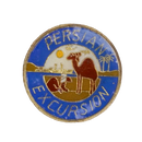 Operation Desert Storm Gulf War Persian Excursion Lapel Pin