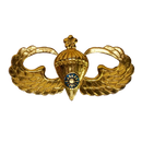 Republic of China (Taiwan) Army Airborne Basic Parachutist Badge