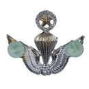 Republic of Korea (ROK) Army Master Parachutist Badge - Army & Outdoors - Flags, Badges & Insignia