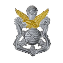 Republic of Korea (ROK) Army Special Warfare Command Beret Badge, Item 2