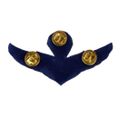 Royal Thai Air Force HALO Parachutist Badge