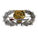 Royal Thai Army Ranger Badge