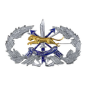 Royal Thai Border Police Special Forces Qualification Badge
