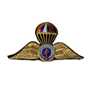 Royal Thai Paramilitary Force Badge, Item 2