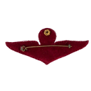 Royal Thai Police Basic Parachute Wing badge