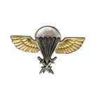Senegal Army Parachute Wings Badge