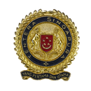 Singapore Armed Forces (SAF) Infantry Beret Badge