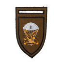 South African Defence Force 1 Parachute Battalion Shoulder Flash Patch - South African Army Surplus - Flags, Badges & Insignia