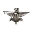 South African Defence Force 3 Parachute Battalion Beret Badge