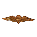 South African Defence Force Basic Parachute Qualification Wing Badge