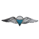 South African Defence Force Dispatcher Parachute Qualification Wing Badge