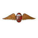 South African Defence Force Parachute Freefall Instructor Bronze Badge