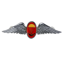 South African Defence Force Parachute Freefall Instructor Silver Badge