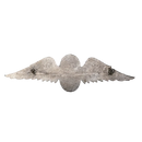 South African Defence Force Parachute Instructor Qualification Wing Badge