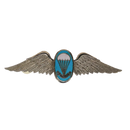 South African Defence Force Parachute Instructor Wings Badge