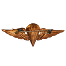 Syrian Arab Army Basic Parachutist Badge