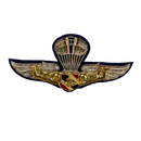 Thai Army Free Fall Wings Badge