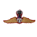 Thai Army Master Parachute Wings Badge