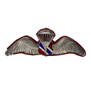 Thai Border Patrol Police Basic Parachute Wings Badge