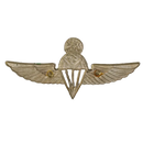 Uganda Army Basic Parachutist Wings Badge, Item 2 - Army & Outdoors - Flags, Badges & Insignia