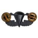 US Army 1960s Basic Jump Wings Badge