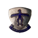 US Army 501st Infantry Regiment VIntage Unit Crest Pin