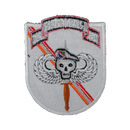 US Army 75th Ranger Regiment Skull & Wings Patch - Army & Outdoors - Flags, Badges & Insignia