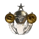 US Army 82nd Airborne Division Senior Freefall Wings Badge
