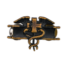 US Army Expert Field Medical Badge Badge