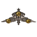 US Army Freefall Jump Wings Badge, Item 2