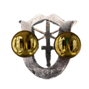 US Army Special Forces ("Green Berets") 1st Regiment Badge