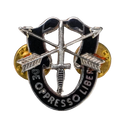 US Army Special Forces ("Green Berets") 1st Regiment Badge