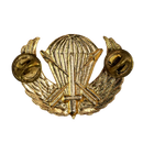 US Army Special Forces Prototype Parachutist Wing Badge
