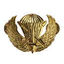 US Army Special Forces Prototype Parachutist Wing Badge