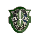 US Army Special Forces Unit Crest Pin