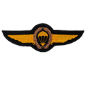 West German Bundesmarine Class III Paratrooper Qualification Wings, Item 2