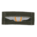 West German Gold Parachute Wings Patch, Item 2